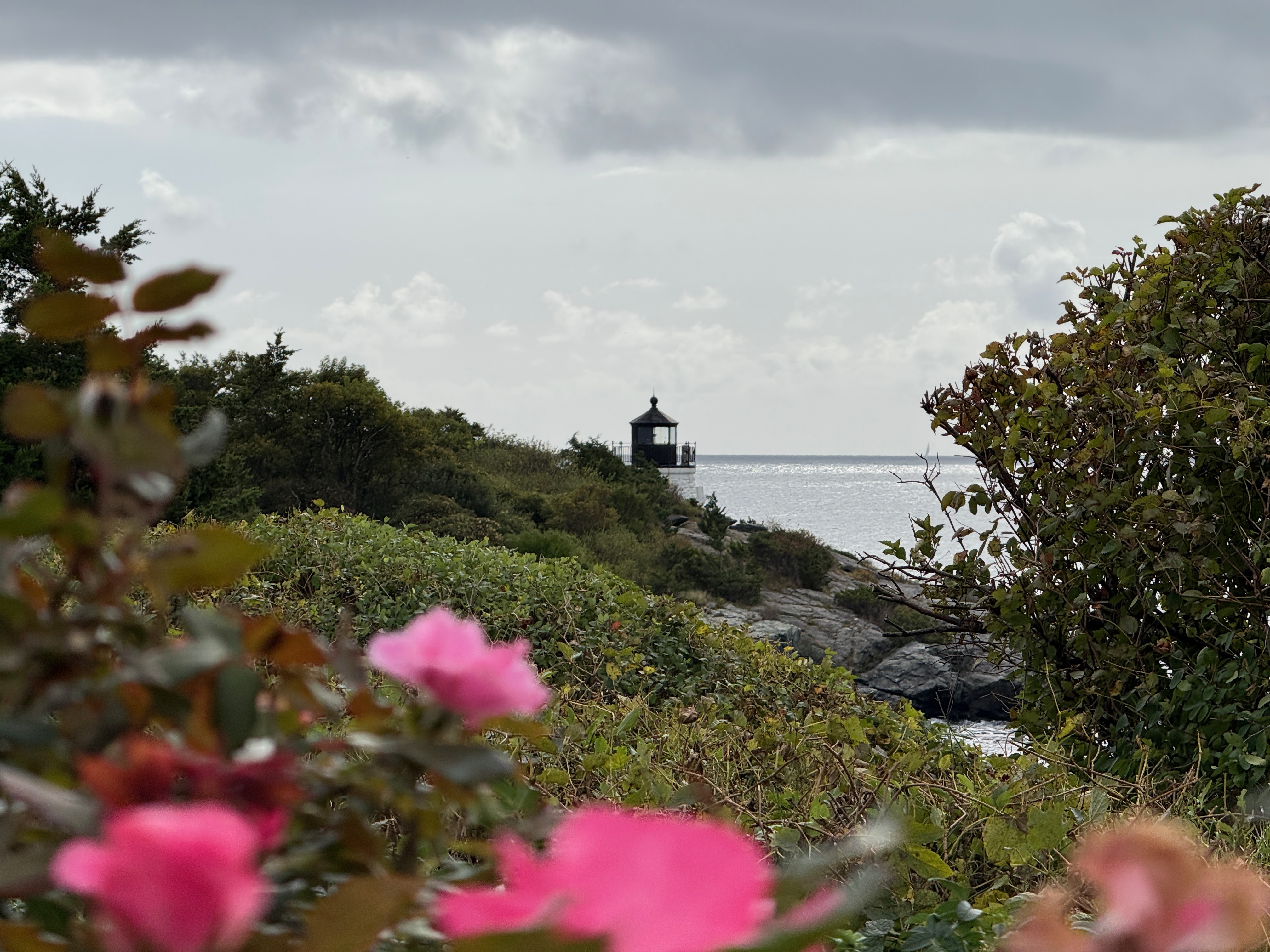 lighthouse wild roses coast