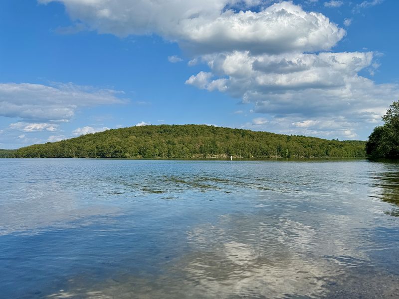 lake wooded island